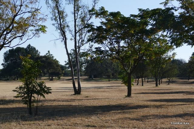 cl_golf_bcc_fairway_shadows