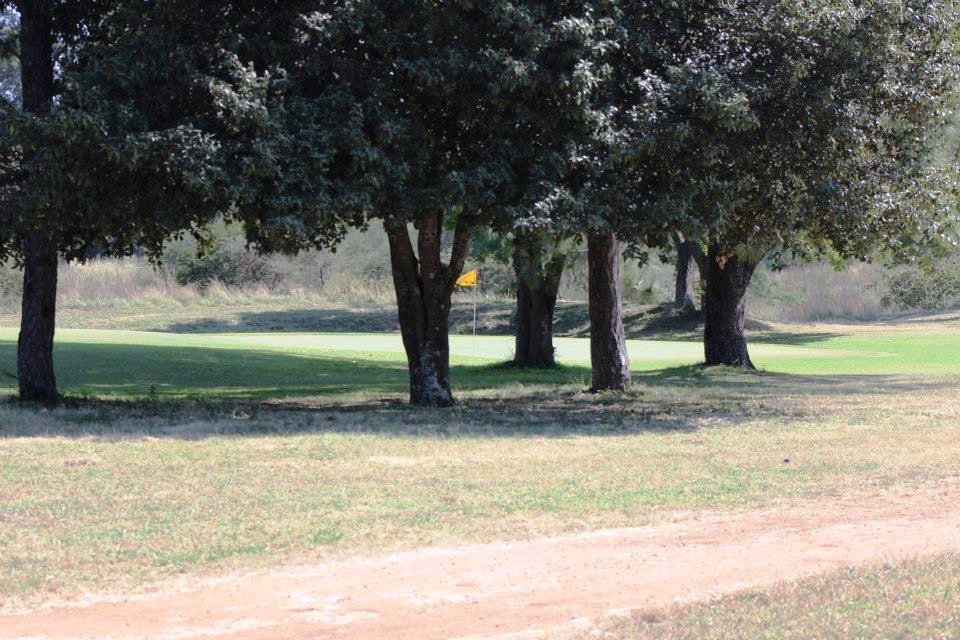 cl_golf_bcc_no8_green_flag_trees