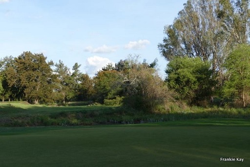 cl_golf_bgc_river_12th.JPG