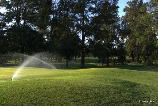 cl_golf_bgc_sprinklers_spray.JPG