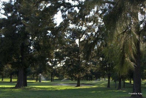 cl_golf_bgc_sprinklers_trees.JPG