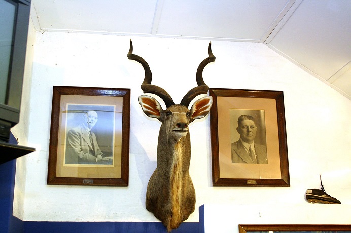 cl_hart_rugby_museum_kudu