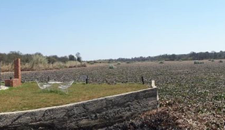 cl_wat_umg_wall_left