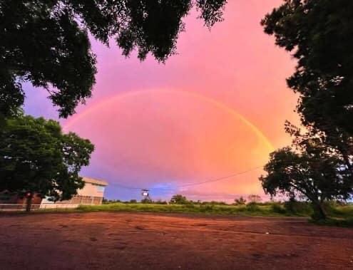 cl_ascot_2021_rainbow