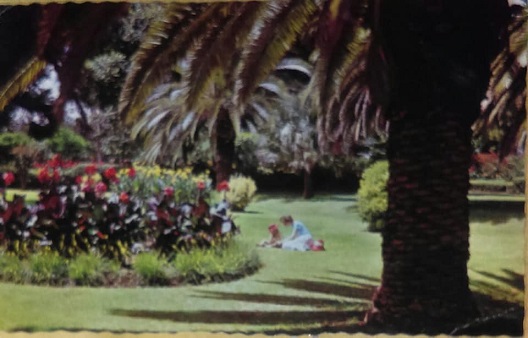 pc_recent_centenary_garden_leih