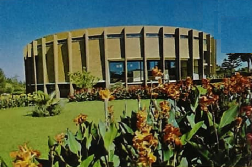 pc_recent_centenary_museum_cannas_orange_leih