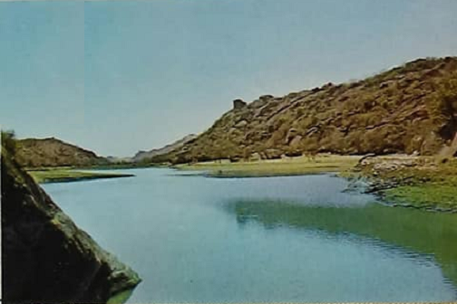 pc_recent_ncema_leih