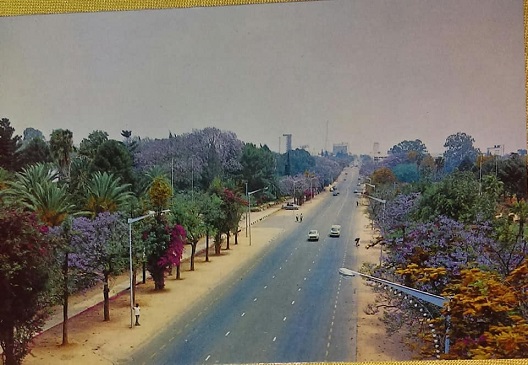 pc_recent_sv_selborne_avenue_leih