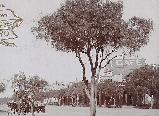 ed_pc_sapsco_1920s_series06xx_cafe_roof