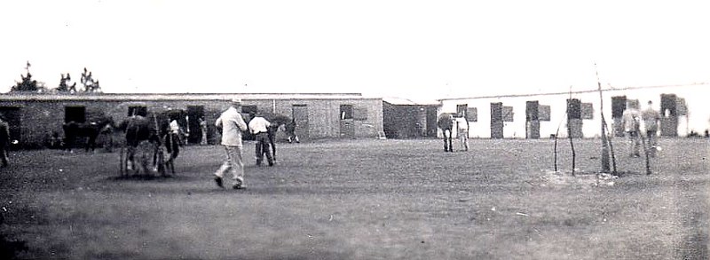 at_air_itw_hillside_1940s_RAF_ITW_No5_R&R_turf_club_stables