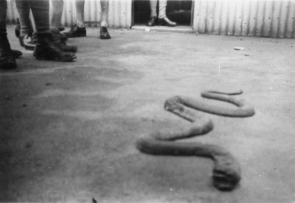 at_air_itw_hillside_1940s_cobra_camp