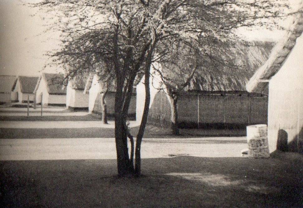 at_air_itw_hillside_1940s_lecture_huts_tree