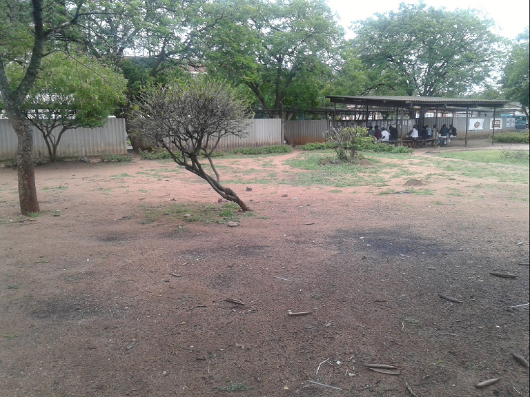 at_hosp_mpilo_sheds