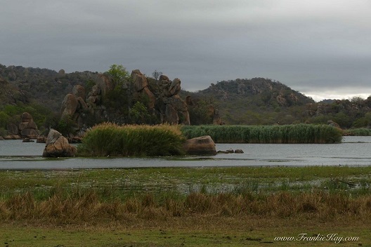 dam_mt_mtsheleli_reeds