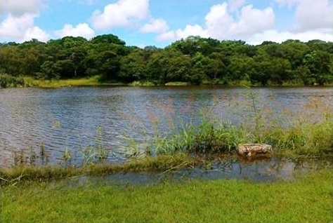 dam_hill_hd_water_flows_reeds.jpg