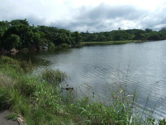 dam_hillside_2011_views_5288