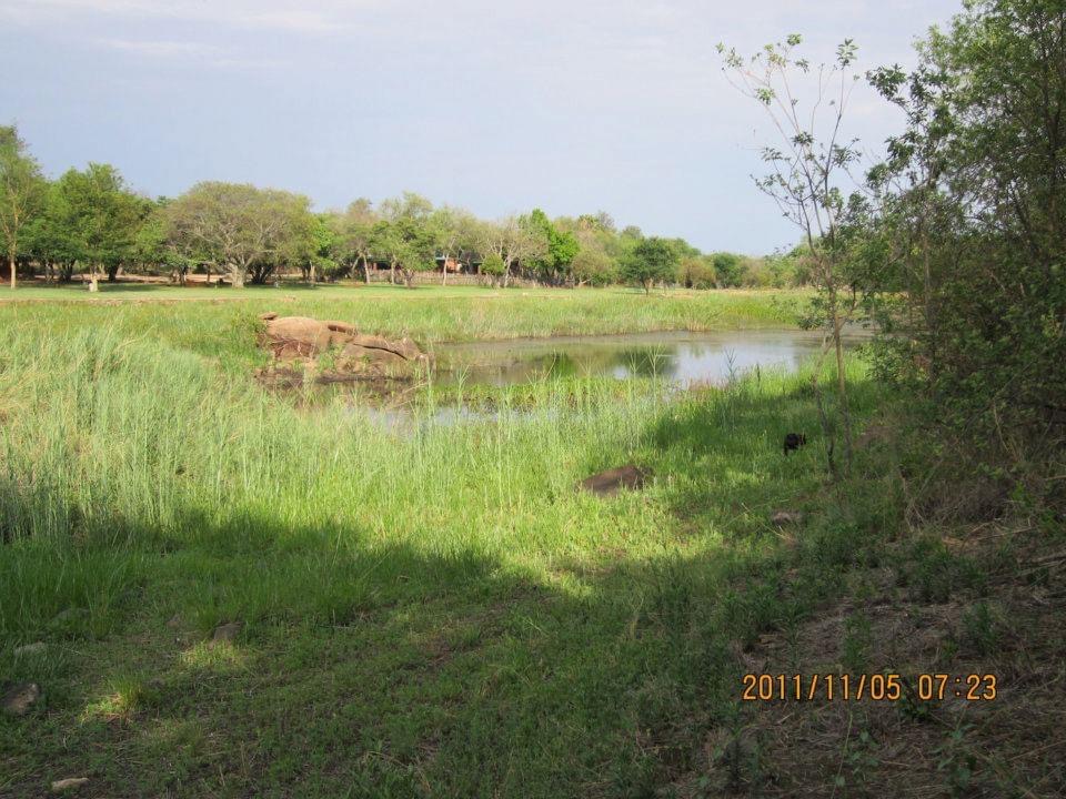 dam_hillside_2011_views_5299