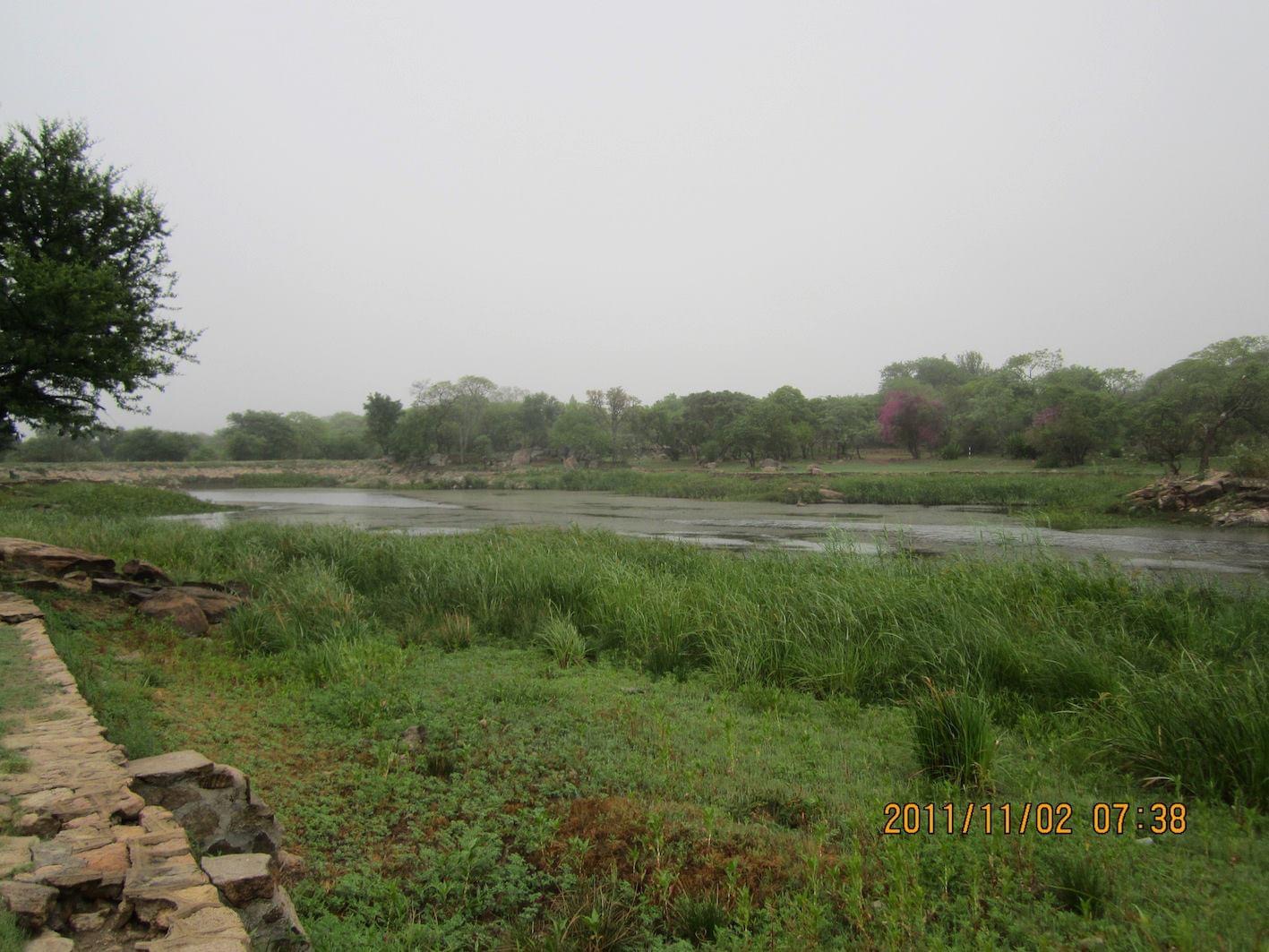 dam_hillside_2011_views_5300