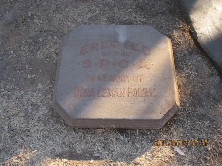 dam_hillside_2011_views_5311