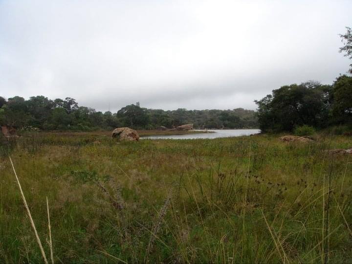 dam_hillside_2011_views_5327