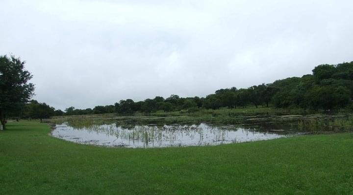 dam_hillside_2011_views_5340