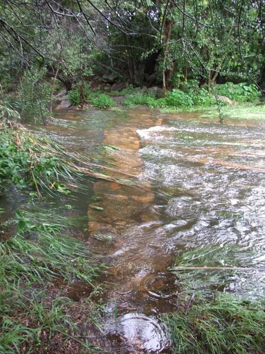 dam_hillside_2011_views_5341