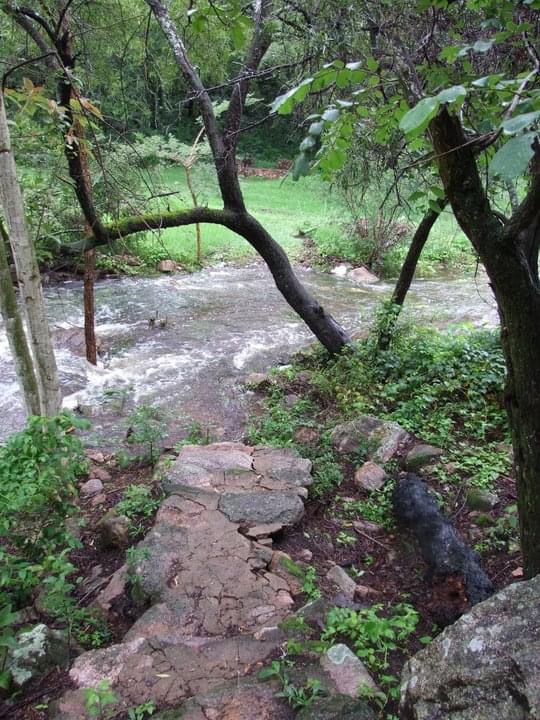 dam_hillside_2011_views_5343