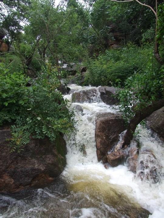 dam_hillside_2011_views_5344