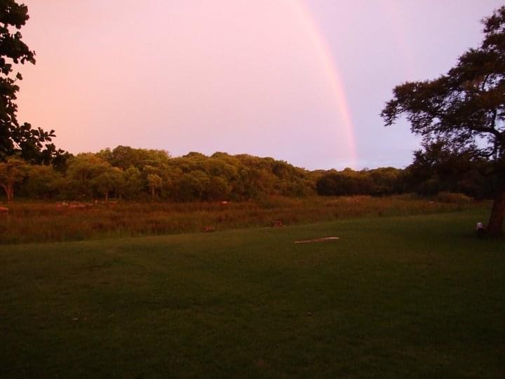 dam_hillside_2011_views_5356