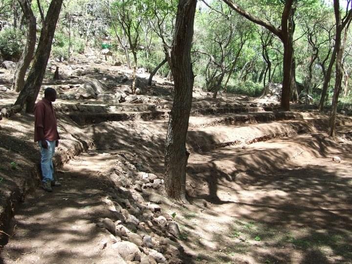 dam_hillside_2011_views_5361