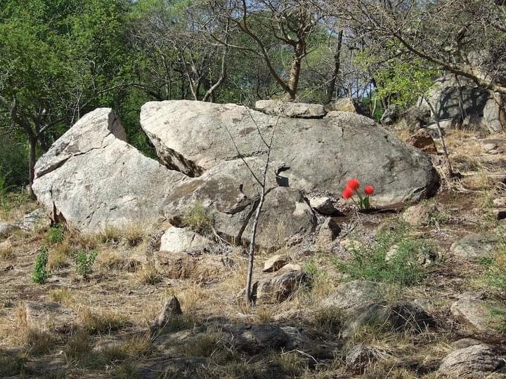 dam_hillside_2011_views_5366