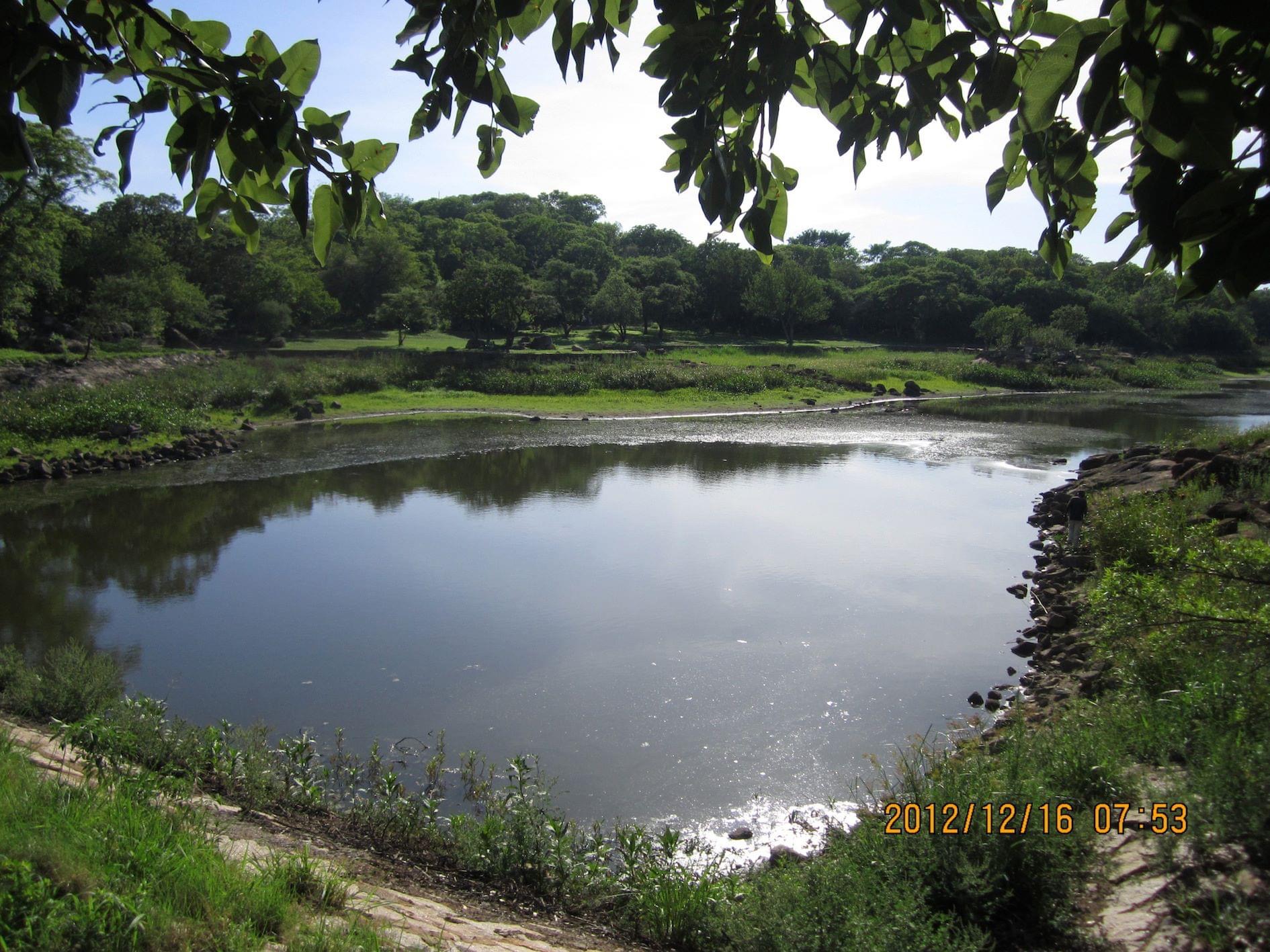 dam_hillside_2012_views_5180