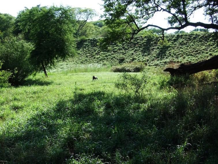 dam_hillside_2012_views_5184