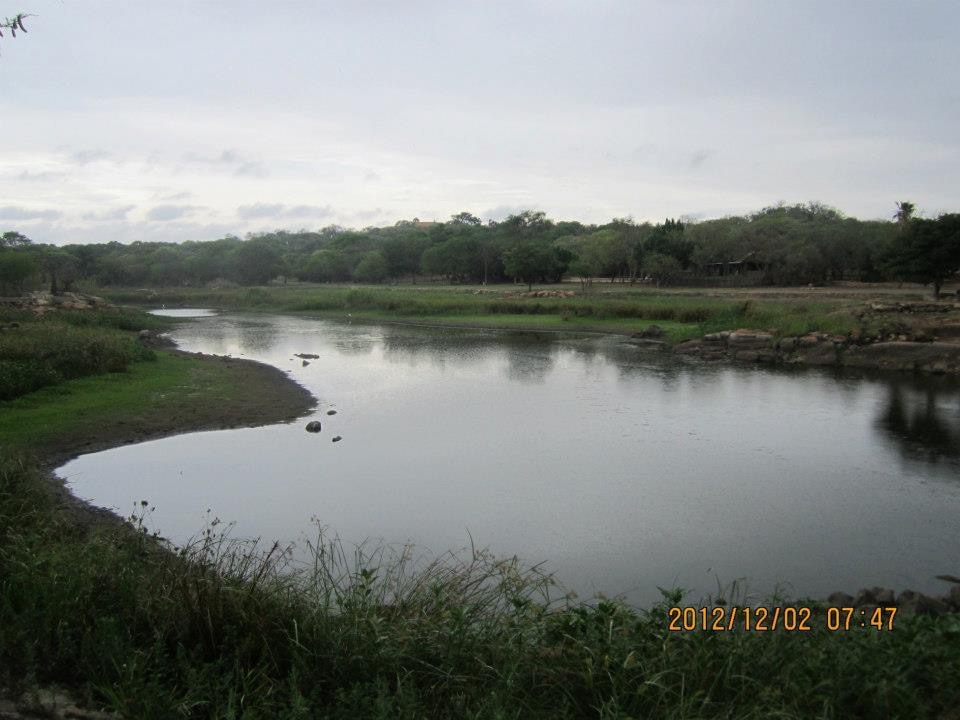 dam_hillside_2012_views_5186