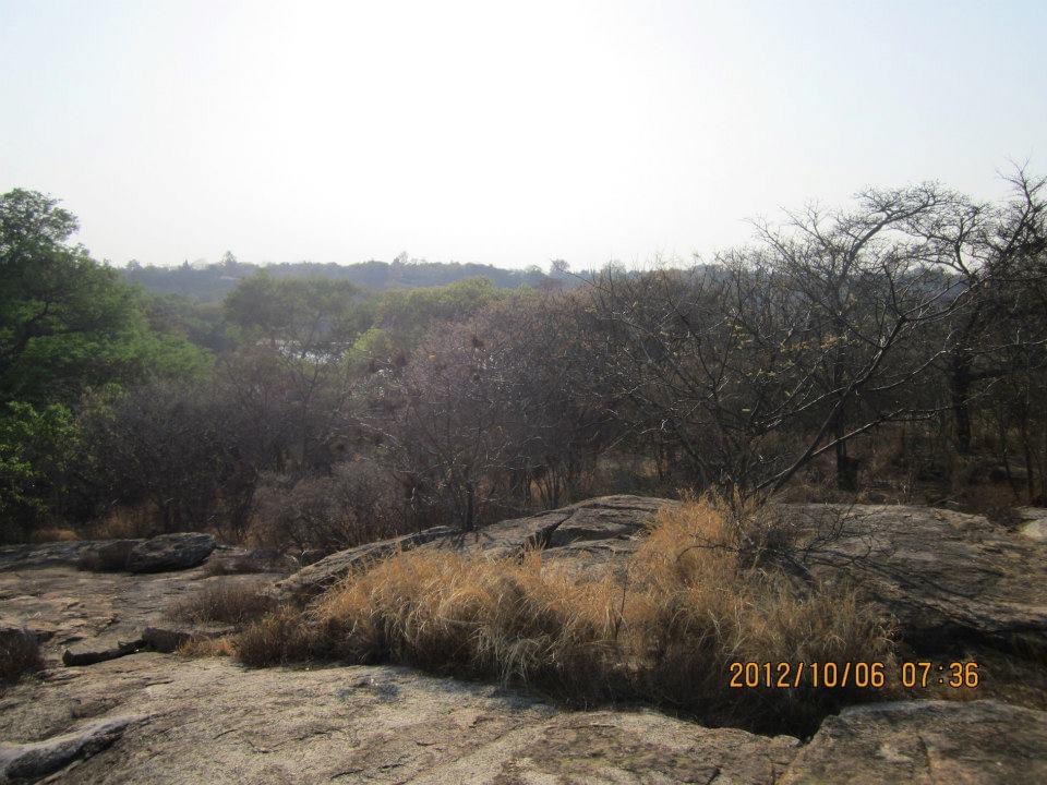 dam_hillside_2012_views_5199