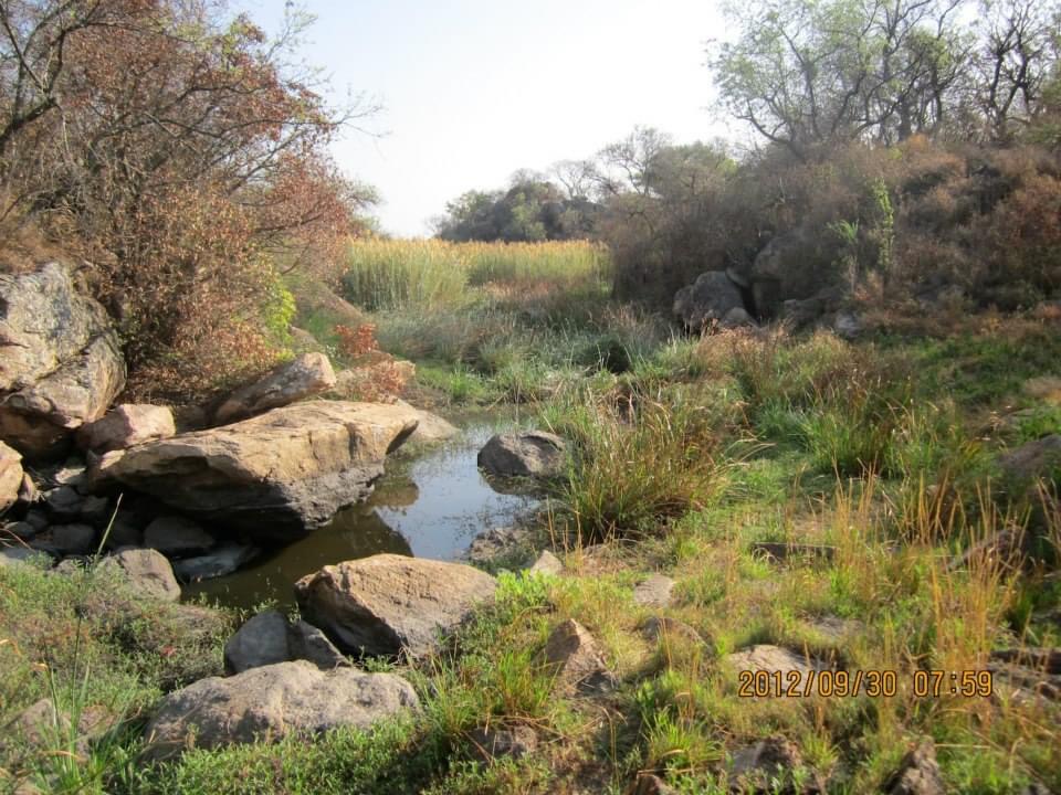 dam_hillside_2012_views_5204