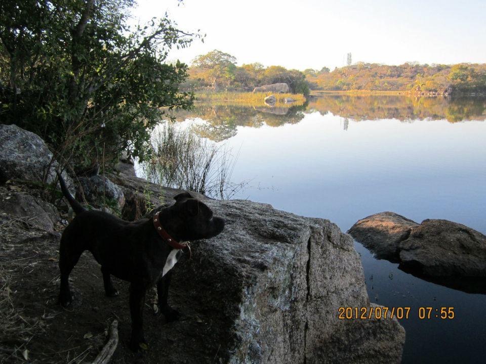 dam_hillside_2012_views_5221