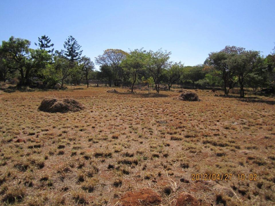 dam_hillside_2012_views_5242