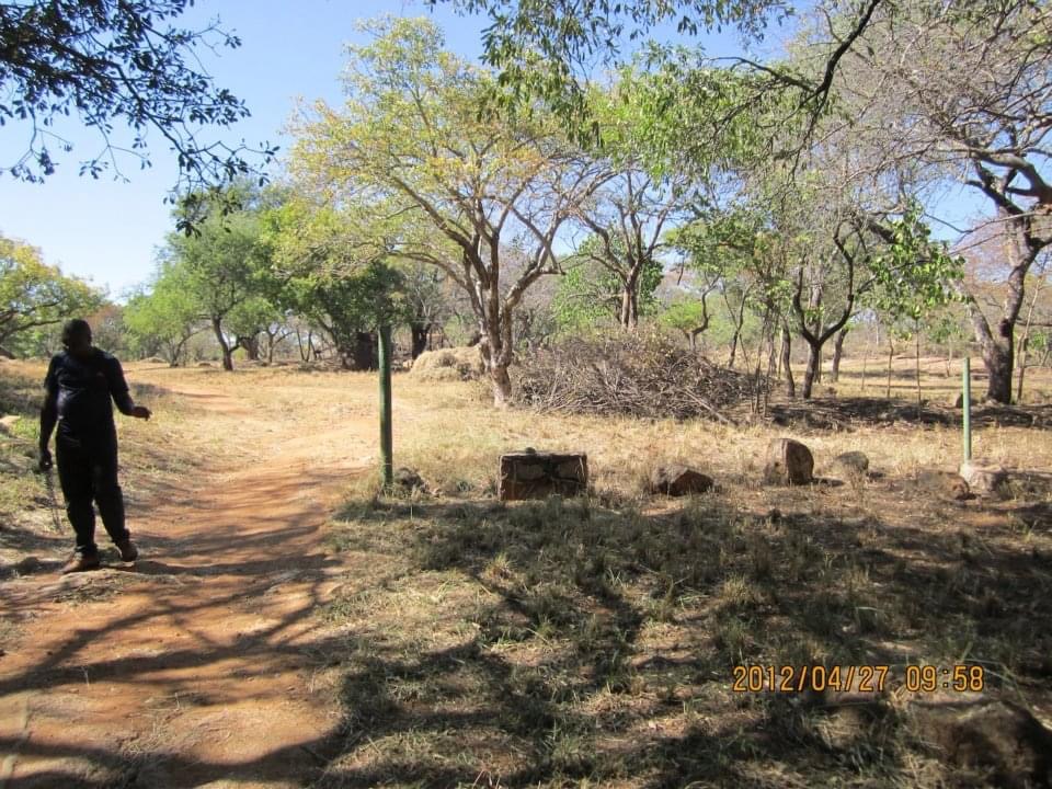 dam_hillside_2012_views_5246