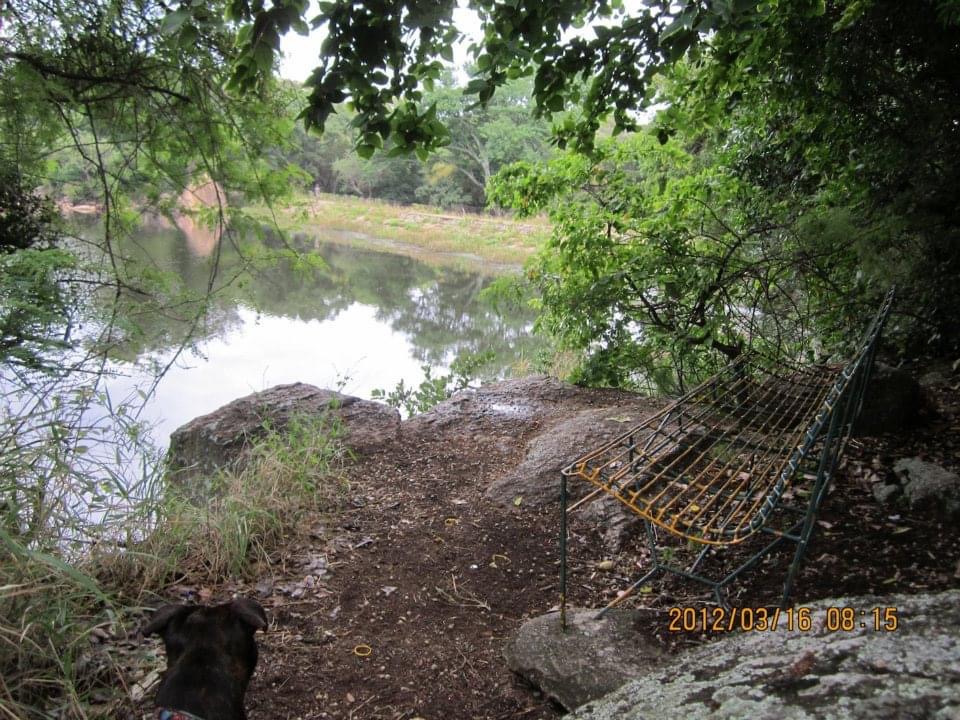 dam_hillside_2012_views_5258