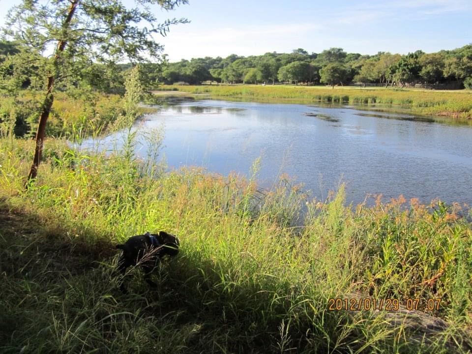 dam_hillside_2012_views_5269