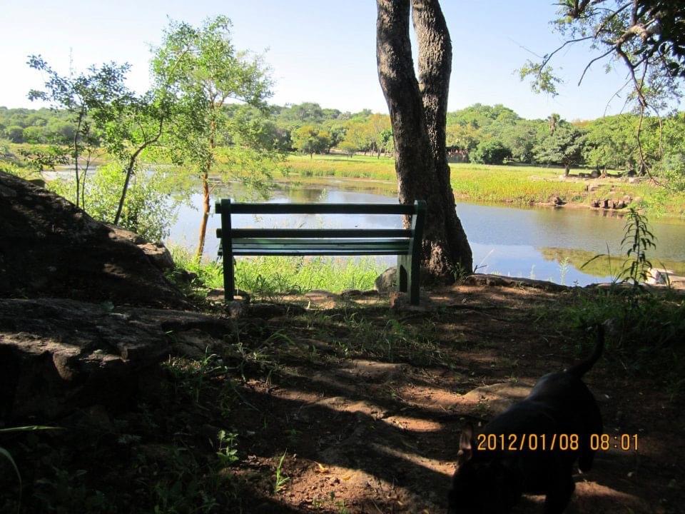 dam_hillside_2012_views_5273