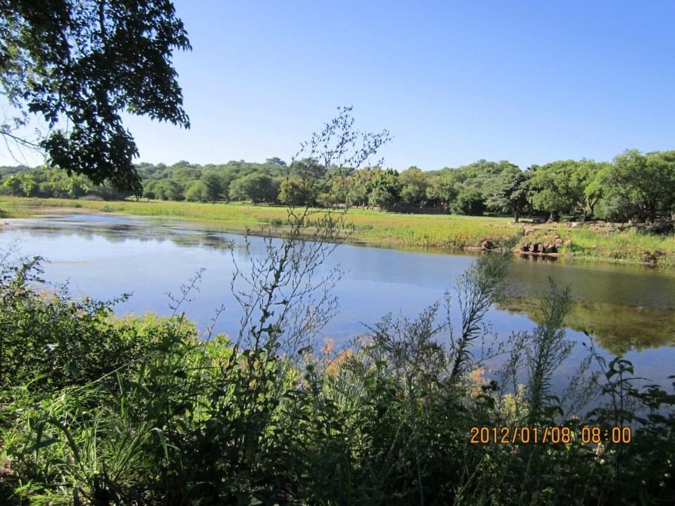 dam_hillside_2012_views_5274