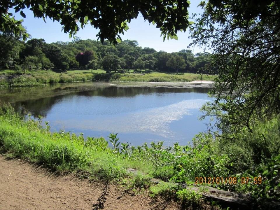 dam_hillside_2012_views_5275