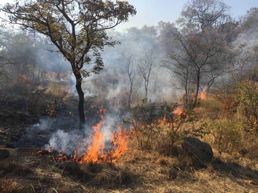 dam_hillside_2017_views_5123