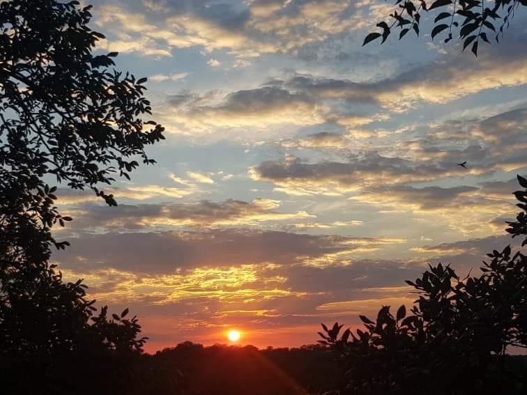 dam_hillside_2020_views_5027