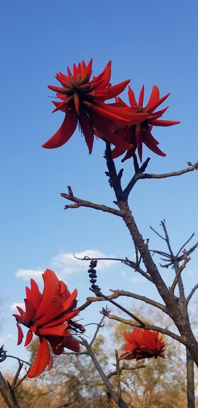 dam_hillside_2020_views_5033