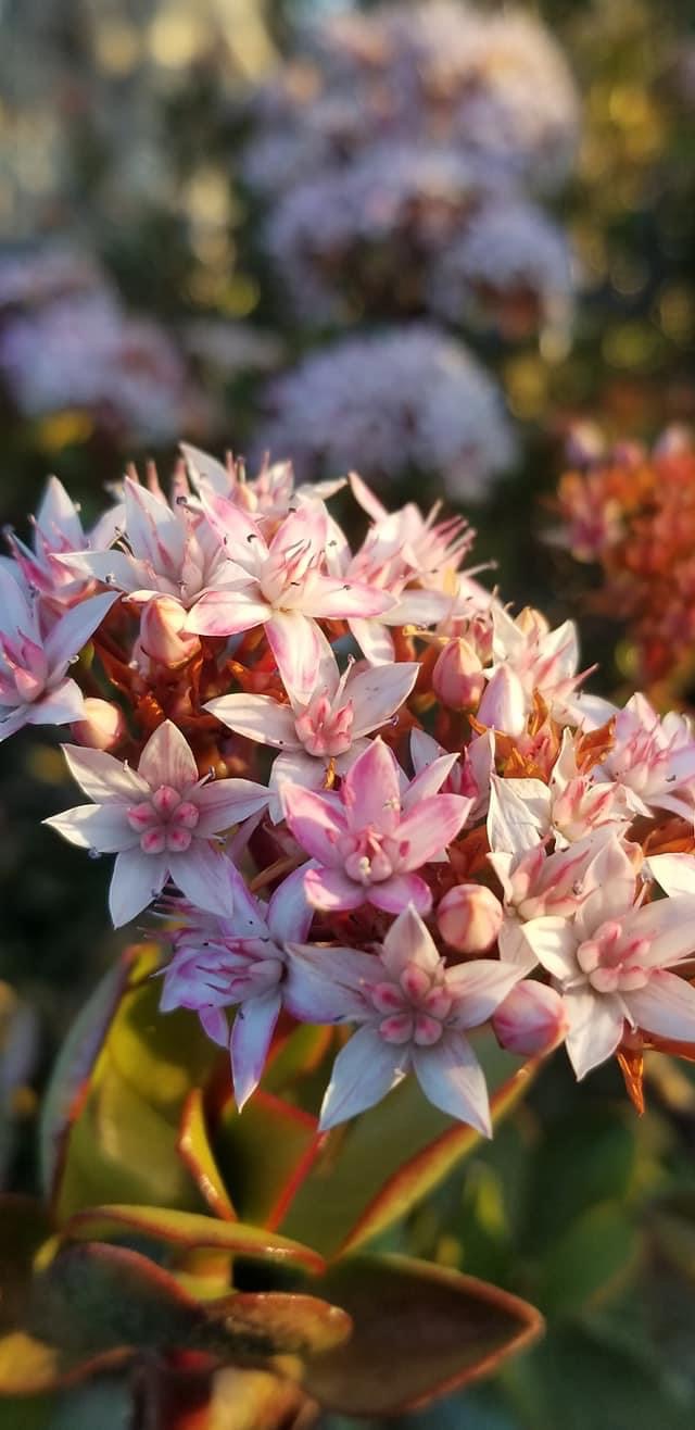 dam_hillside_2020_views_5040