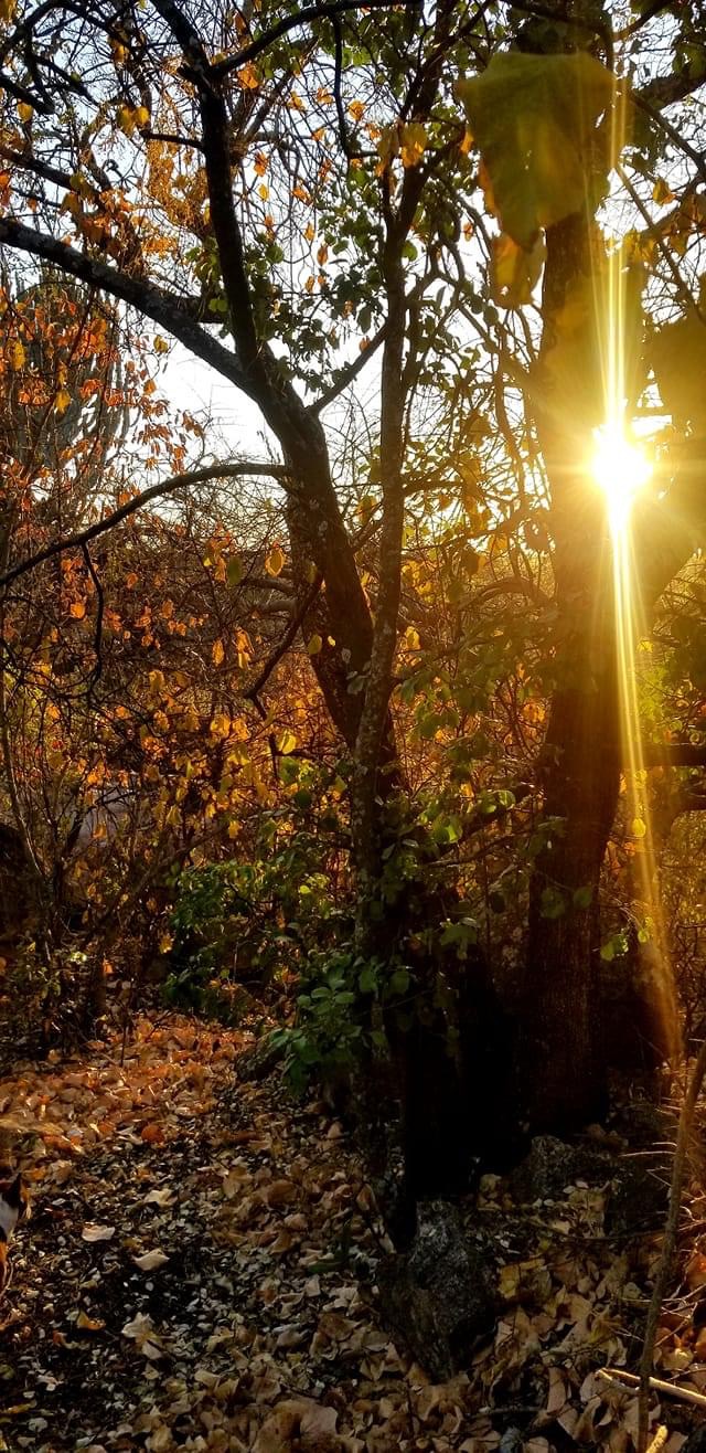 dam_hillside_2020_views_5045