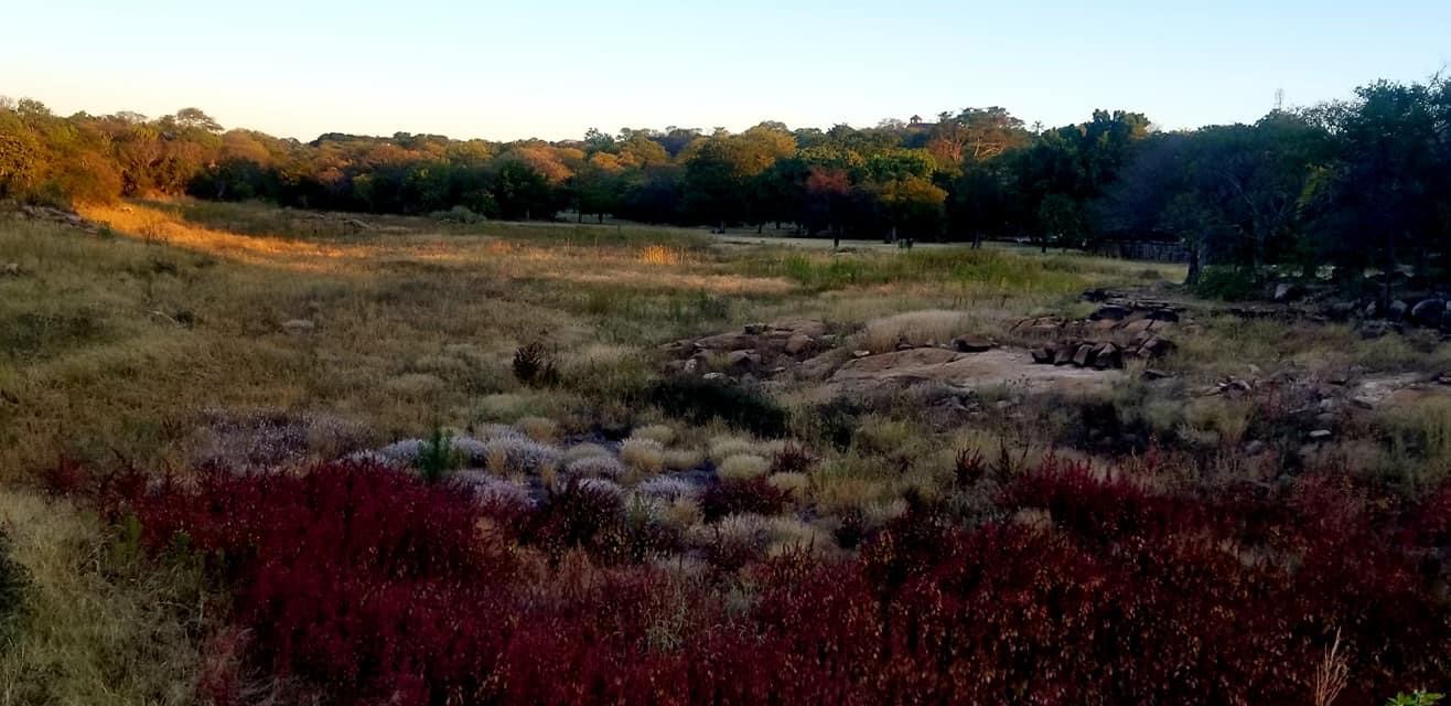 dam_hillside_2020_views_5055